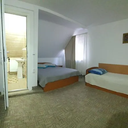 Pensiunea Marydor Guest house *